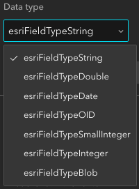 variable data types